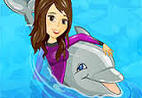 My Dolphin Show