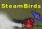 Steambirds Hacked
